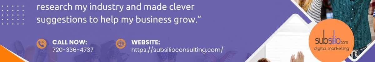 Subsilio Consulting, LLC 